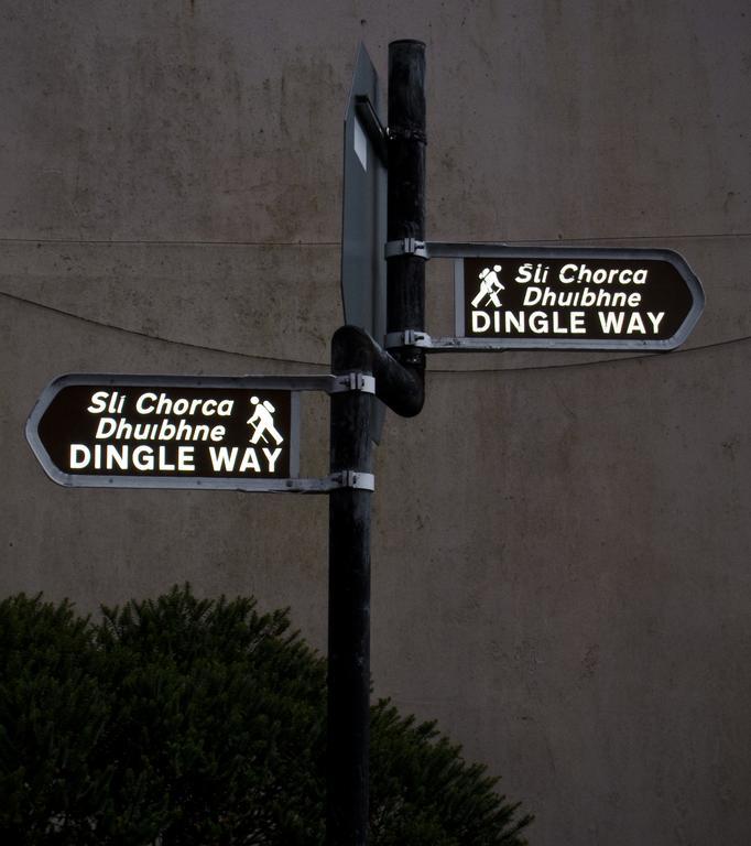 The Dingle Pub Rooms Εξωτερικό φωτογραφία